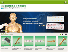 Tablet Screenshot of leaptong.com